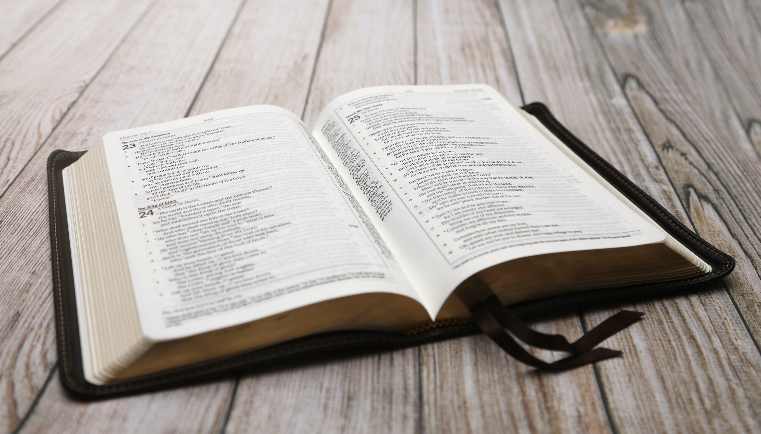 Scriptures on Abuse AdobeStock_122560377