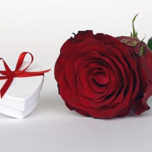 Valentines Pixabay rose-2019692_1920