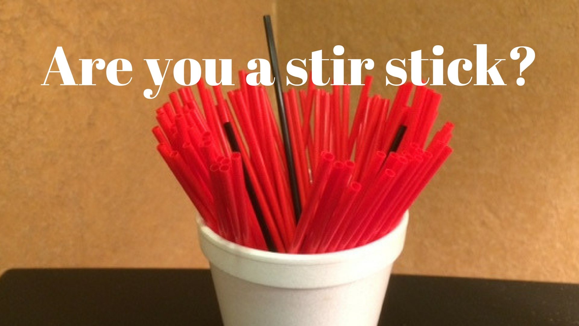 Are you a stir stick - stirring up trouble - Canva own photo