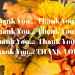 Thankful and Peaceable Celebrating – MM #332